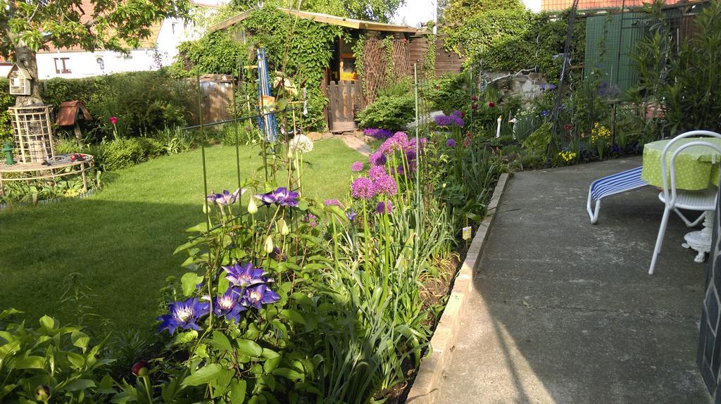Ferienwohnung Weingart 크베들린부르크 외부 사진